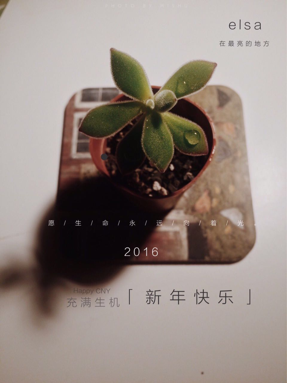 New Plant, 2016